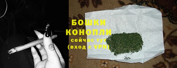гашик Сафоново