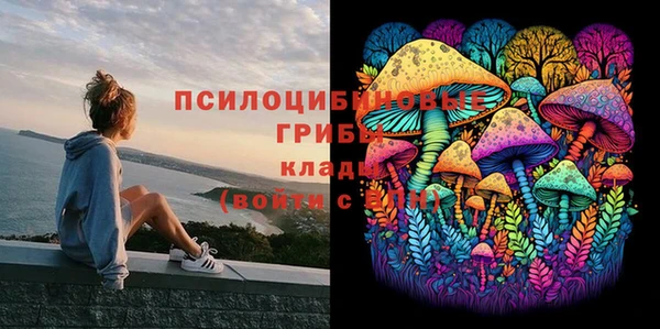 a pvp Абдулино