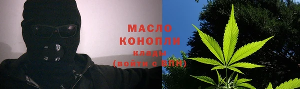 крисы Сатка