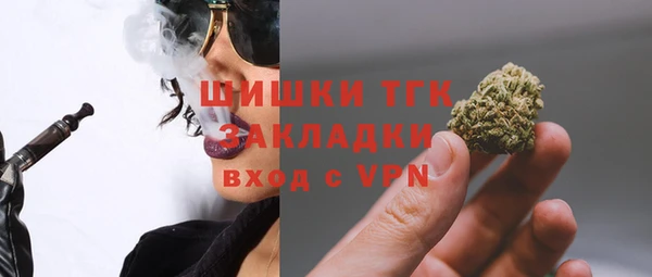 гашик Сафоново