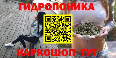 ешки Канаш