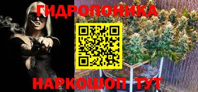 бошки Кандалакша